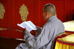 Hong Kong po lin klooster monnik