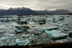 Fantastisch IJsland met kinderen