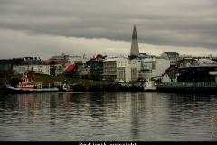 Reykjavik overzicht IJsland met kinderen