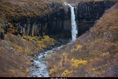 Skaftafell IJsland met kinderen