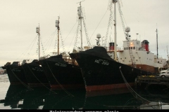 Walvisvaarders vergane glorie IJsland met kinderen