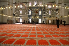 Blauwe moskee Istanbul met kinderen