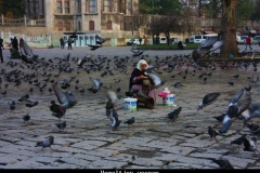 Vogeltjes voeren Istanbul met kinderen