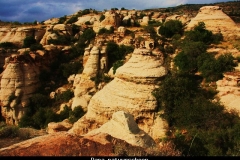 Dana rummana campsite Jordanië met kinderen