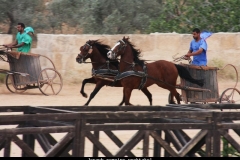 Jerash romeins spektakel Jordanië met kinderen