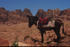 Petra uitzicht Jordanië met kinderen