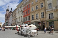Krakau met kinderen
