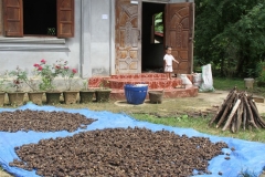 Vers fruit Laos