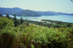 Abel Tasman NP Nieuw Zeeland met kinderen