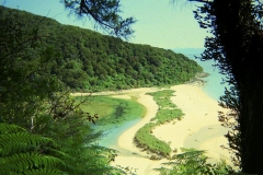 Het Abel Tasman baai Nieuw Zeeland met kinderen