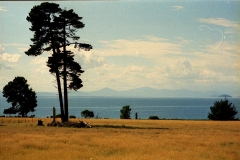 Lake Taupo Nieuw Zeeland met kinderen