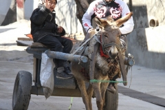Vervoer in Samarkand Oezbekistan met kinderen