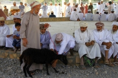 Al Hamra geiten markt Oman met kinderen