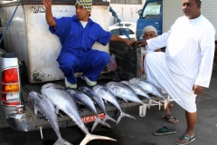 Oman vis verkopers Muttrah