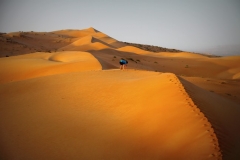 Wahibi Sands Oman