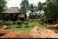 Embera indianen dorpje Panama met kinderen