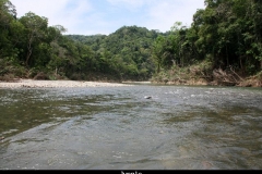 Jungle Panama met kinderen