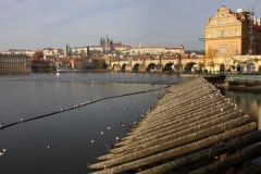 Praag met kinderen