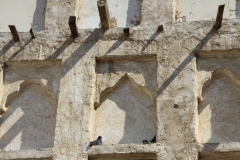 Doha Qatar met kinderen