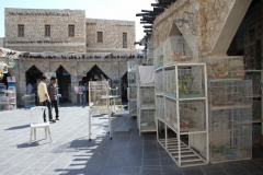 Doha Qatar met kinderen