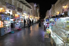 Doha Qatar met kinderen