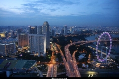 Reuzenrad Singapore met kinderen