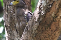Yala NP Sri Lanka met kinderen