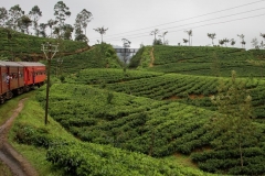 Trein Nuwara Eliya Sri Lanka met kinderen