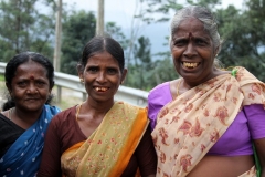 Thee plantages Nuwara Eliya Sri Lanka met kinderen