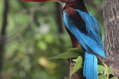 Yala NP Sri Lanka met kinderen