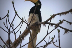 Yala NP Sri Lanka met kinderen