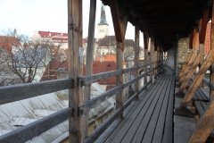 Tallinn met kinderen