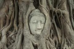 Fotogeniek Ayutthaya Thailand met kinderen