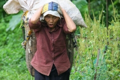 Vietnam allemachtig zwaar werk
