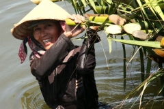 Vietnam hoezo hard werken