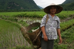 Vietnam net klaar met werken