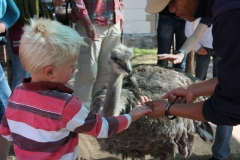Eng eng Zuid Afrika met kinderen
