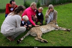 Eng Zuid Afrika met kinderen