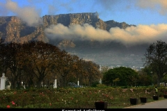Kaapstad tafelberg Zuid Afrika met kinderen