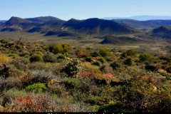 Kleine karoo woestijnschoonheid Zuid Afrika met kinderen
