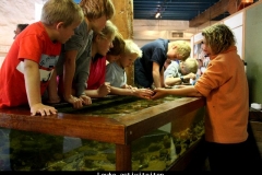 Leuke activiteiten Zuid Afrika met kinderen