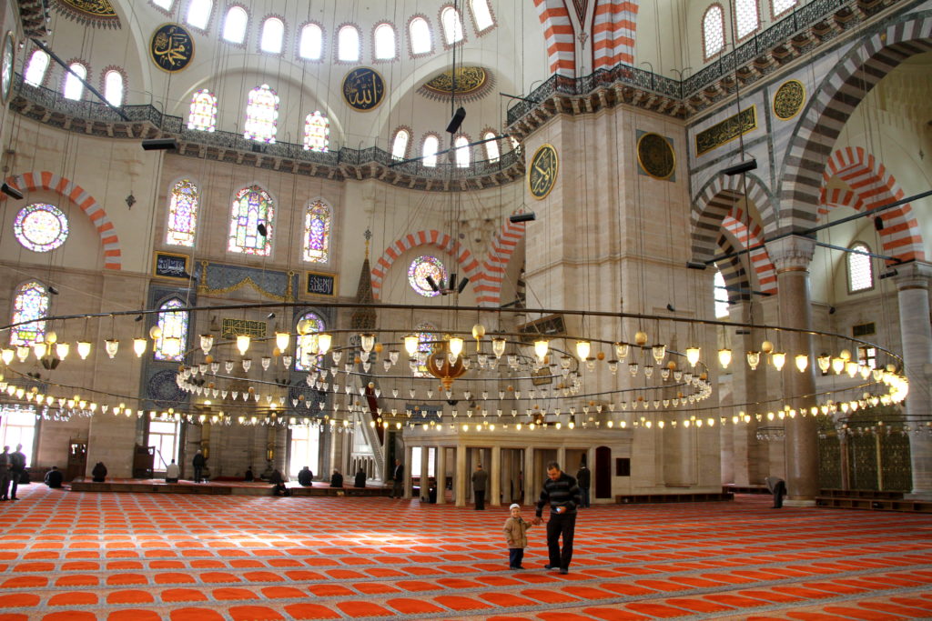 Blauwe moskee Istanbul met kinderen
